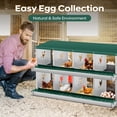 thumbnail image 2 of GloryStar Chicken Nesting Box with Large Vented Hole – Metal Egg Laying Boxes with Organized Compartments for Chickens That Support Everyday Egg Collection in the Coop and Provide a User-Friendly, 2 of 7