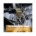 thumbnail image 3 of Kit 6 Brochas Para Detallado Automotriz Interior, 3 of 4