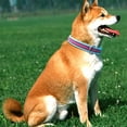 thumbnail image 7 of CHBORLESS 2 Pack Reflective Dog Collar Adjustable Nylon Pet Puppy Collar with Neoprene Padded,Blue Green,M, 7 of 7