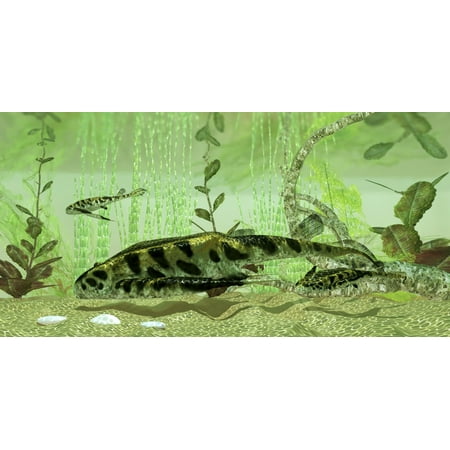 Bothriolepis a freshwater bottom feeder found in rivers and lakes in the Devonian Period Poster
