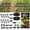 Black-25+50FT, variant on RainPoint Drip Irrigation System with 25FT 5/16" and 50FT 1/4" Irrigation Tubing, Adjustable Emitters DIY Drip Irrigation Kit for Potted Plants, Patios& Garden, Raised Beds
