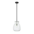 thumbnail image 1 of Z Lite 476P-ROD-MB-BN 12 in. Bella 1 Light Matte Black & Brushed Nickel Mini Pendant Ceiling Light, 1 of 1