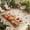 Orange Yellow Beige, variant on Orange Pumpkin Fall Outdoor Rug for Patio/Deck/Porch, Non-Slip Large Area Rug 6 x 9 Ft, Thanksgiving Maple Leave Farmhouse Indoor Outdoor Rugs Washable Area Rugs, Reversible Camping Rug Carpet Runner