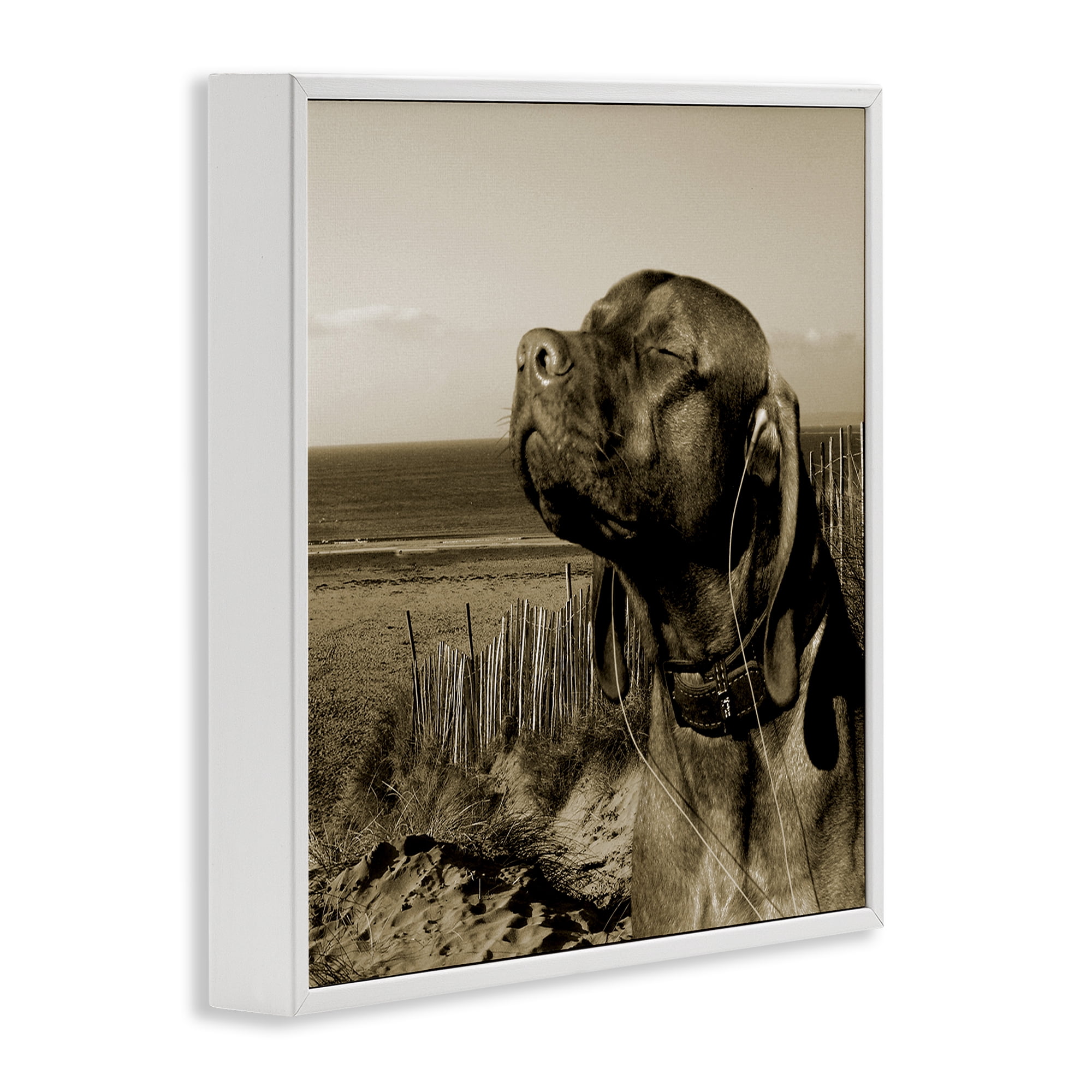 Stupell Industries Relaxed Dog with Music Animals & Insects Photography White Framed Art Print Wall Art, 12 x 12