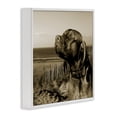 thumbnail image 4 of Stupell Industries Relaxed Dog with Music Animals & Insects Photography White Framed Art Print Wall Art, 12 x 12, 4 of 10