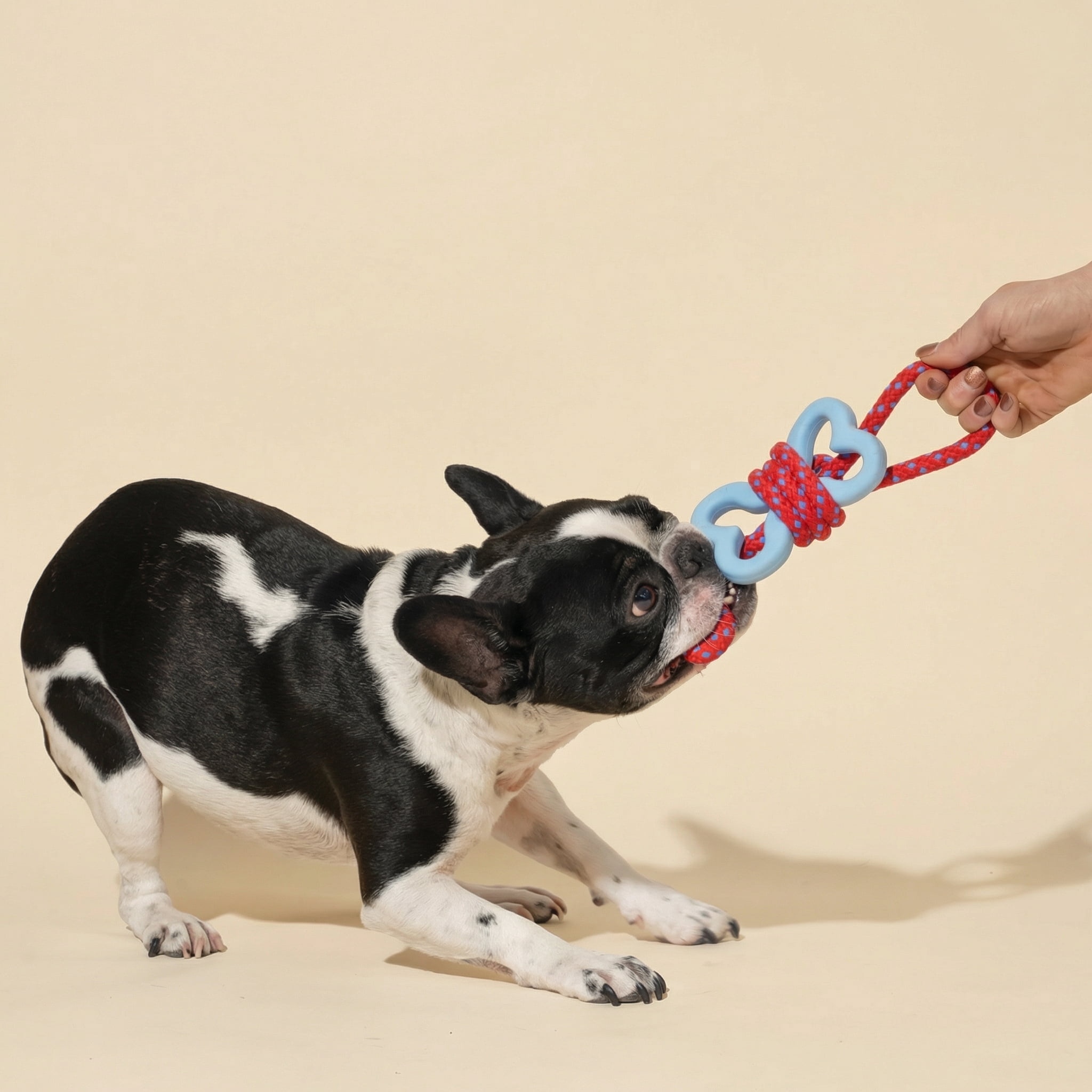 Oodles Durable Rubber Bone Wrapped Rope Dog Toy Set, Red and Green, Large