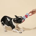 thumbnail image 4 of Oodles Durable Rubber Bone Wrapped Rope Dog Toy Set, Red and Green, Large, 4 of 8