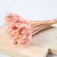 thumbnail image 2 of Coofit Dry Flower Branch DIY 24PCS Simple Natural Dried Grass Stem Dry Grass Decor, 2 of 8