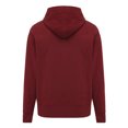thumbnail image 2 of Iqoniq Sweat à Capuche en Coton Recyclé Coupe Décontractée pour Adulte, 2 of 3