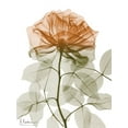 thumbnail image 2 of Koetsier, Albert 25x32 White Modern Wood Framed Museum Art Print Titled - Urban Jungle Rose 1, 2 of 4
