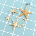 thumbnail image 6 of Bobasndm Starfish Multi-purpose 1 Box Natural Ocean Beach Seashells Solid High Quality for Party, 6 of 7