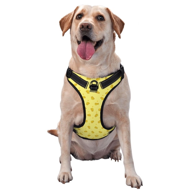 Balery Cheese 1 Arnés para Perros Grandes Antitirones, Arnés con Correa para Gato, Arnés Tipo Chaleco para Perros Pequeños-Large