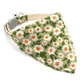 thumbnail image 1 of Collar de perro con pata de estilo único, collar ajustable, 1 of 5