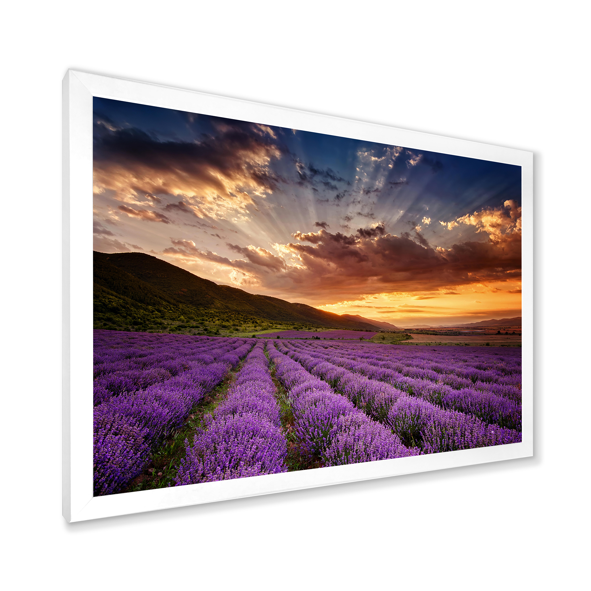 Designart 'Dramatic Clouds and Sunrise Over Lavender Field X' Farmhouse Framed Art Print