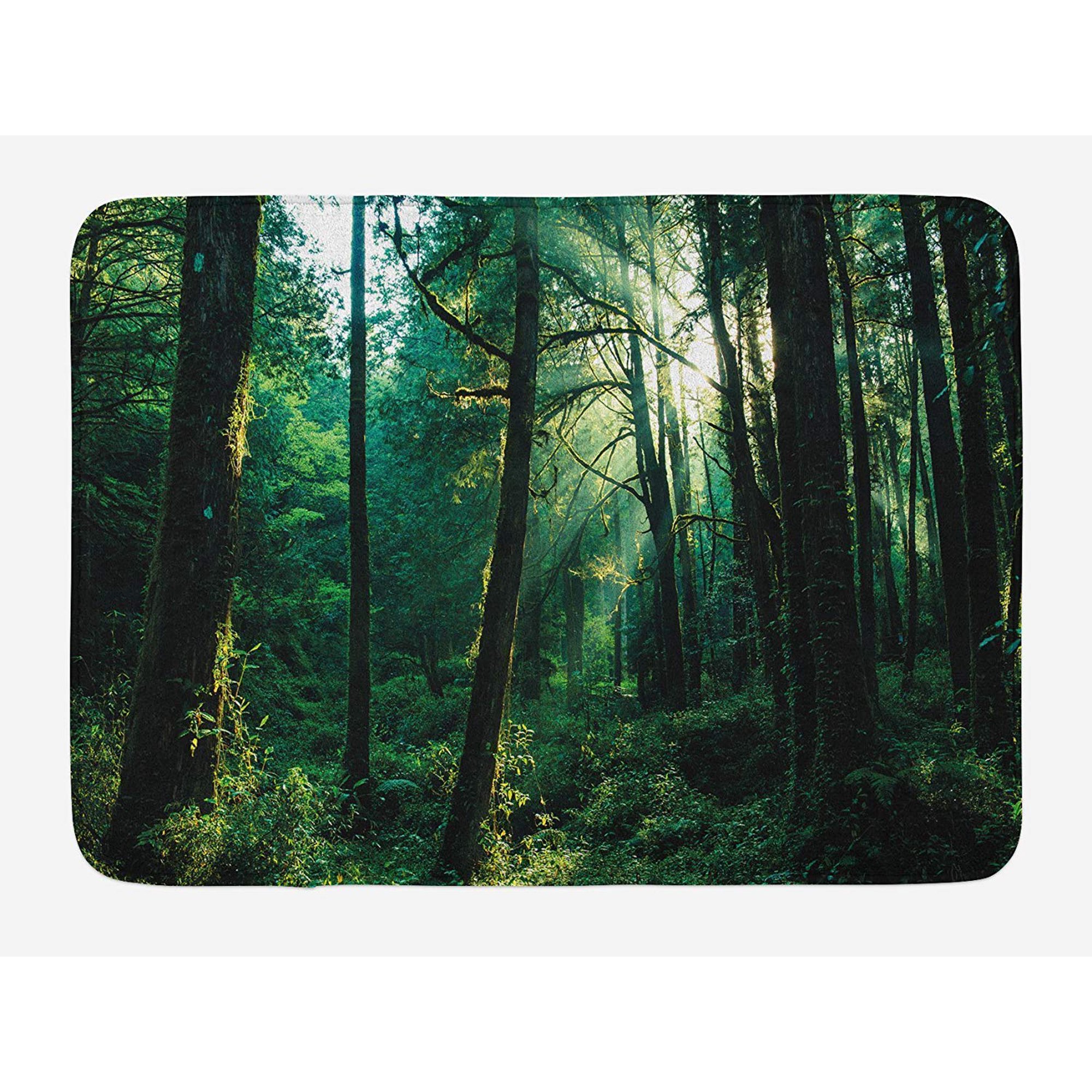 Xddja Sunset In Woods Sun Beaming Through Forest Trees Wilderness Sceneryforest Green Pale Yellow 3 Piece Bathroom Rugs Set Bath Rug Contour Mat And Toilet Lid Cover Walmart Canada