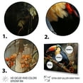 thumbnail image 3 of Designart "Tropical Toucan Portrait Series II" Animals Framed Wall Art Decor - Modern Farmhouse Yellow Toucan Bedroom Framed Canvas Wall Art, 3 of 6