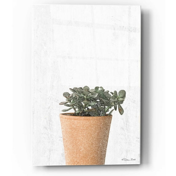 Epic Art 'Succulents III' by Susan Ball, Acrylic Glass Wall Art, 12"x16"