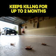 Raid Concentrated Deep Reach Pest Insect Killer & Roach Fogger Insecticide, 1.5 fl oz, 4 Count