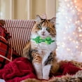 thumbnail image 1 of Produits pour Animaux Nœud de Fête avec Clochettes Collier pour Chats, 1 of 6