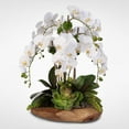 thumbnail image 4 of Real Touch 6-Stem Phalaenopsis Orchids - White, 4 of 5