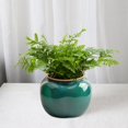 thumbnail image 6 of kjfeif 1Pcs 4 Inch Self Watering Plastic Planter with Inner Pot Flower Plant Pot,Modern Decorative Flower Pot for All House Plants,Flowers,Herbs,African Violets, 6 of 6