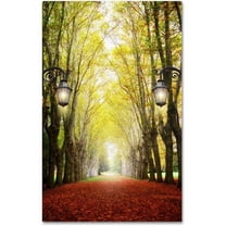 Trademark Fine Art "Plane Tree Alley" Canvas Art by Philippe Sainte-Laudy