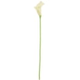 thumbnail image 2 of 36X Artificial Calla Flowers Single Long Stem Bouquet Real Home Decor Color:Creamy, 2 of 8