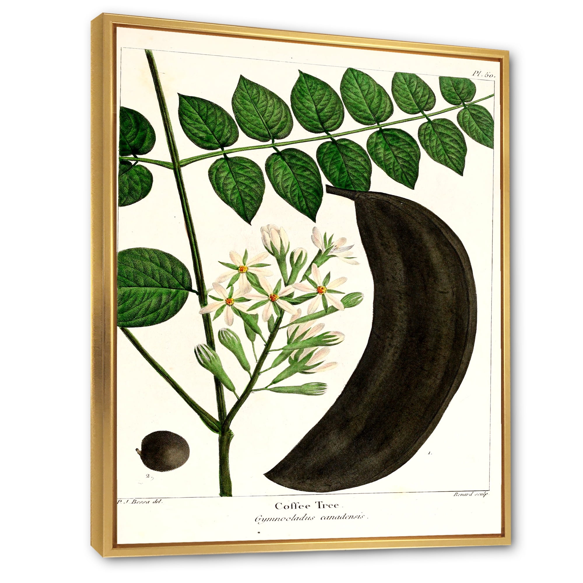 Designart 'Ancient Plant Life IX' Traditional Framed Canvas Wall Art Print