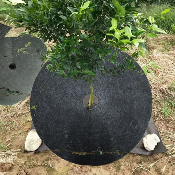 Biodegradable Weed Barrier