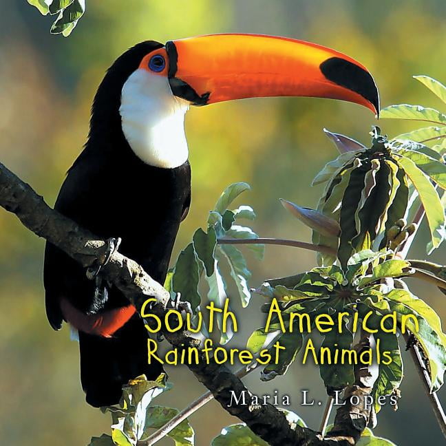 South American Rainforest Animals (Paperback) 