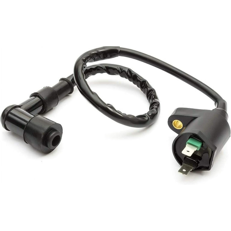 Electric 2 Pin ATV Motorcycle Parts Motor Ignition Coil for