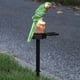 thumbnail image 2 of Kuymtek Luces solares LED Parrot Impermeable Césped Estacas Lámparas Decoración de jardín (Verde) Kuymtek Iluminación del hogar multifuncional, 2 of 8