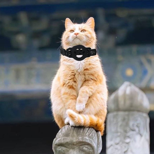 Durable Nylon Pet Collar For Small Dogs And Cats Adjustable And Versatile Design Ideal For Everyday Use And Outdoor Activities Comfortable Fit Perfect For And Training