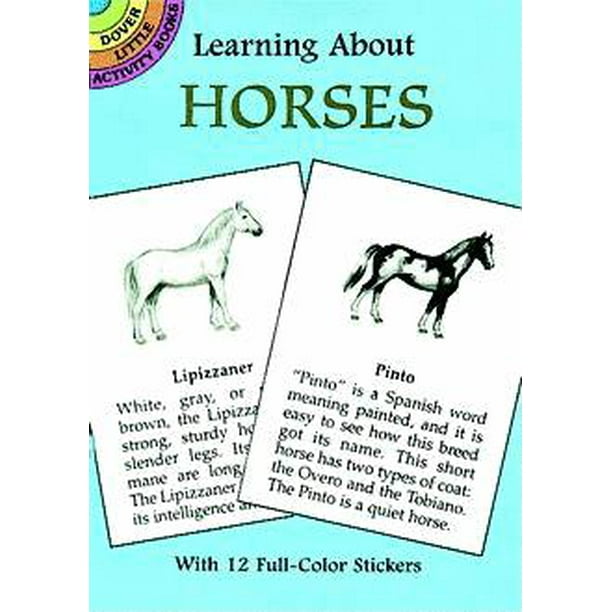 dover little activity books learning about horses other walmart