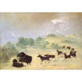 thumbnail image 3 of George Catlin 24x18 Black Modern Framed Museum Art Print Titled - Elk and Buffalo Making Acquaintance, Texas (1846-1848), 3 of 5