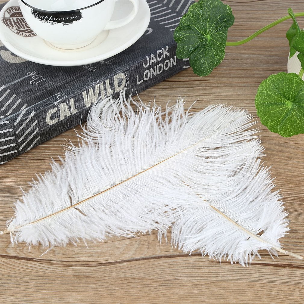 wedding ostrich feathers