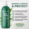 thumbnail image 2 of KESMEDIK Tea Tree Oil Conditioner MaxTherapy, Hydrating, Detangles & Softens Hair, Refreshes & Soothes Dry, Itchy Scalp, Anti Dandruff Conditioner, 16 fl oz, 2 of 7