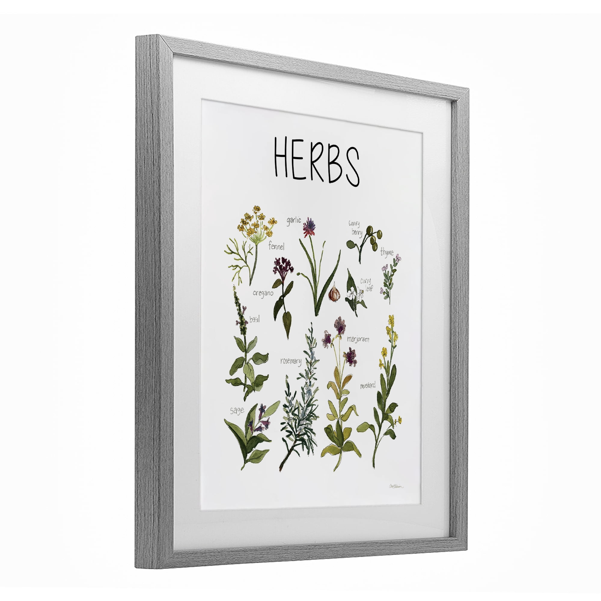 Stupell Industries Herbs Identification Chart Gray Framed Print Under Glass, design by Carol Robinson