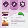 thumbnail image 5 of Amber NaturalZ Kitty DT Digestive Rescue for Cats | For Occasional Upset & Digestive Support 1oz, 5 of 7