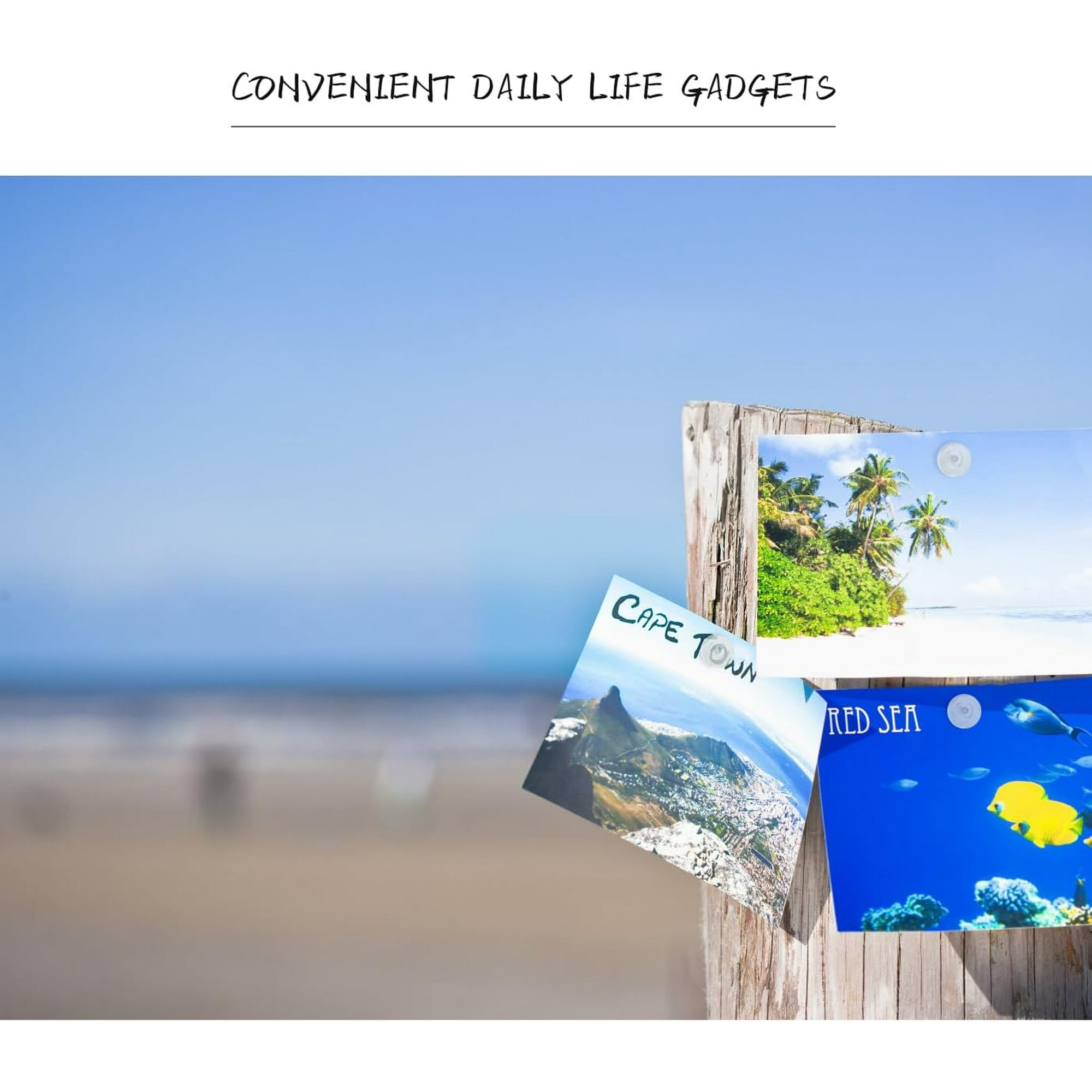 Punaises Bureau école Transparentes Lot De 600 Punaises Transparentes - Boîte De Rangement Incluse, Pointes En Acier Résistant Punaises Murale