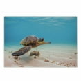 thumbnail image 1 of Turtle Cutting Board, Hawaiian Green Sea Turtle Cruises in Warm Waters of the Pacific Ocean Photo, Decorative Tempered Glass Cutting and Serving Board, Small Size, Aqua Cinnamon Brown, by Ambesonne, 1 of 1