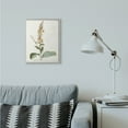thumbnail image 2 of Stupell Industries Botanical Plant Illustration Flowers Vintage Design Framed Wall Art by Unknown, 16" x 20", Gray Framed, 2 of 8