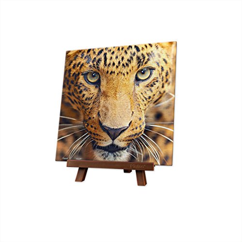 Pintoo - P1178 - Gros Plan de Léopard - Casse-Tête en Plastique Mini de 256 Pcs Présentant un Gros Plan Vif du Visage d'Un Léopard avec des Yeux Percés et des Motifs de Fourrure Détaillés. Ce Casse-Tête Est Exposé sur un Support en Bois, Idéal pour les Passionnés de Casse-Têtes et les Collectionneurs.
