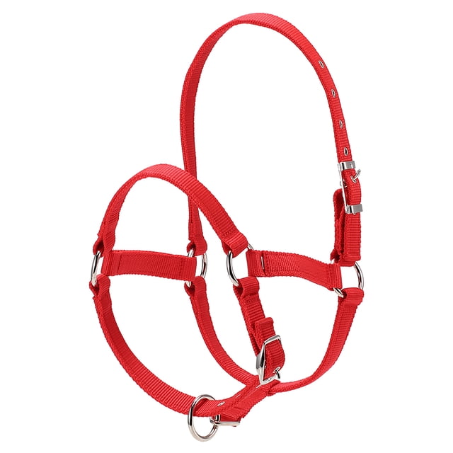 Collier de Tête de Cheval Épaissi 6MM Réglable Sécurité Licou Bride