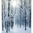 thumbnail image 3 of Winter Duvet Cover Set Queen Size, Snow Covered Forest Idyllic Early Morning Scenery Seasonal Xmas Nature, Decorative 3 Piece Bedding Set with 2 Pillow Shams, Black White Slate Blue, by Ambesonne, 3 of 3