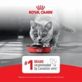 thumbnail image 3 of Feline Care Nutrition Digestive Multipack - 85 g x 12 pk pack 2, 3 of 3