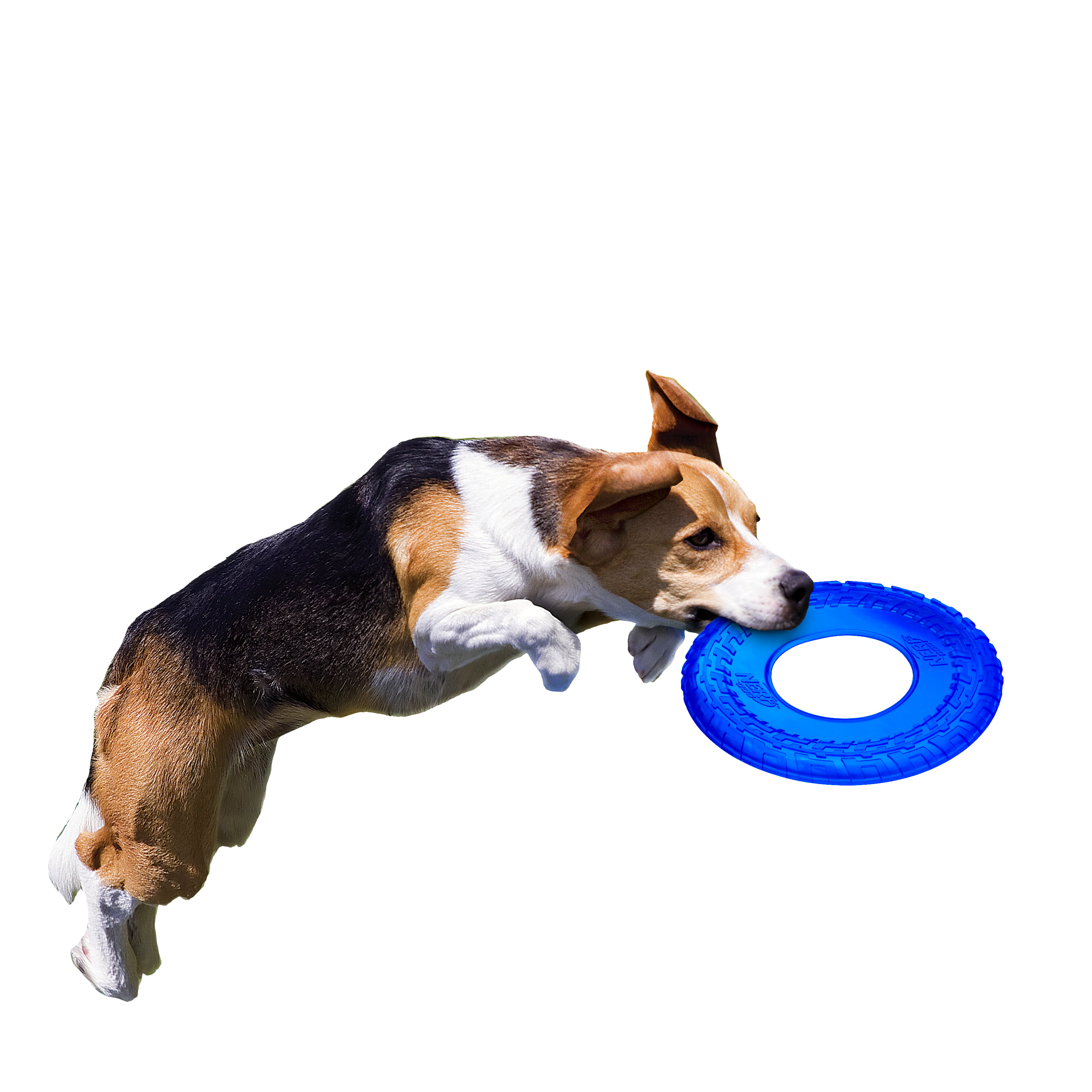 Nerf Dog 10-Inch Rubber Tire Flyer Dog Toy Frisbee, Translucent 