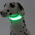 thumbnail image 6 of Vikakiooze items LED dog collar USB rechargeable, suitable for small and medium-sized dogs, 6 of 6