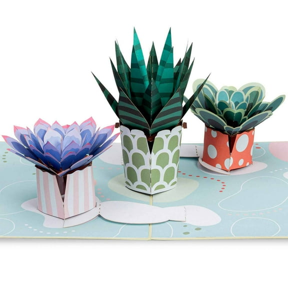 Succulents Pop Up Card