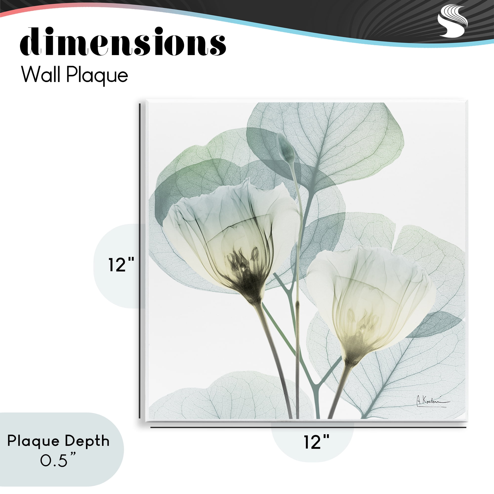 Stupell Industries Divine Fate Flower Leaves Wall Plaque Art, design by Albert Koetsier